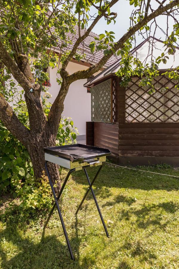 Apartmaji Rupnik Бохиньска-Быстрица Экстерьер фото